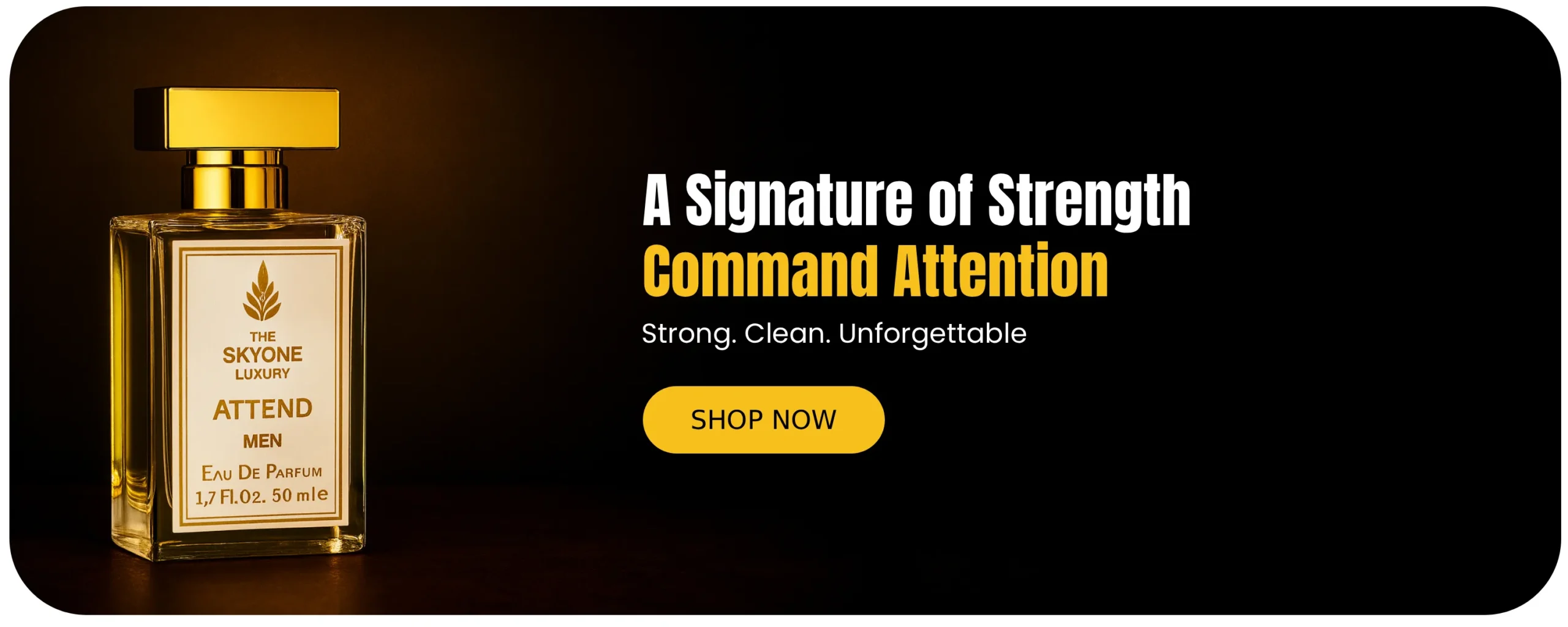 SkyOne Luxury Banner 1