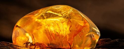 Amber Amber