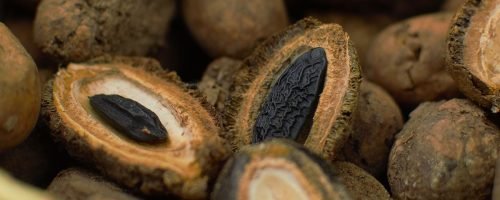 Tonka-Beans-social Tonka-Beans-social