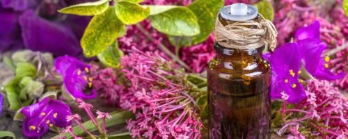 clary-sage-oil clary-sage-oil